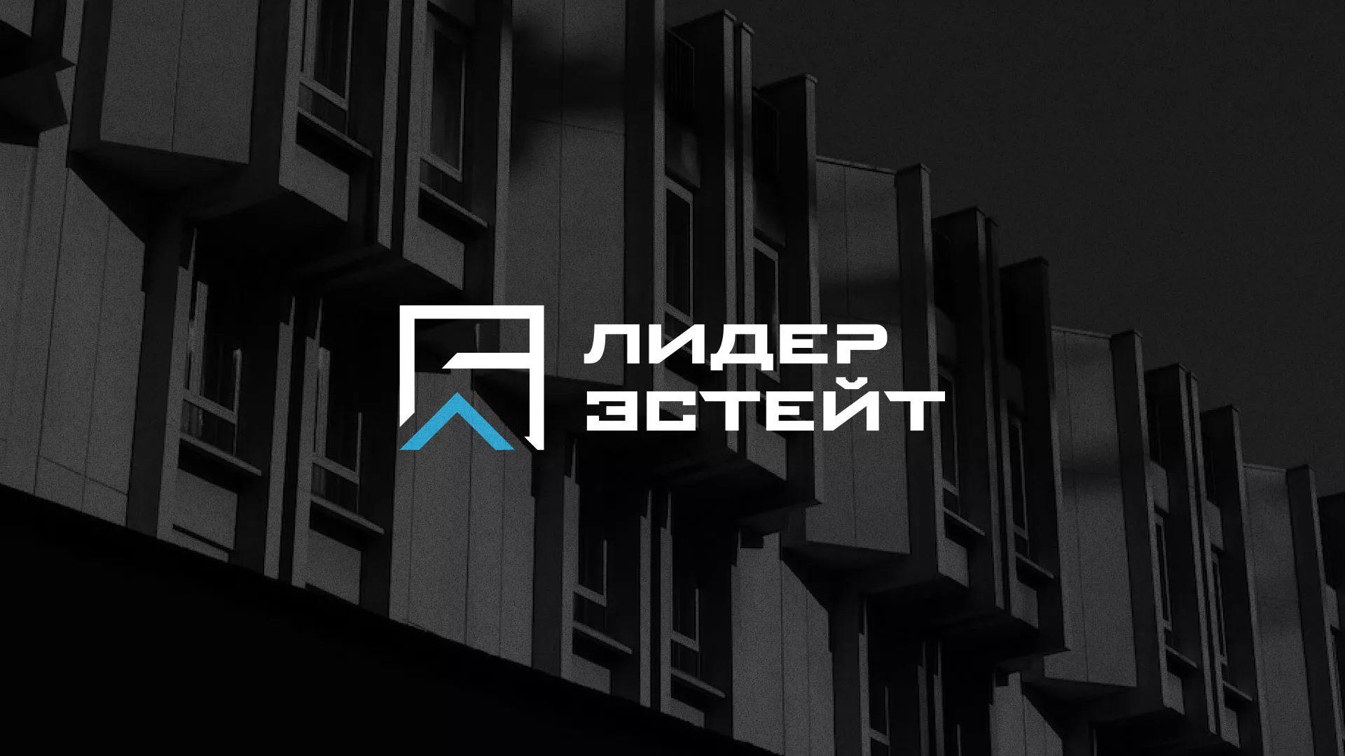 Разработка логотипа агентства недвижимости «Лидер Эстейт» в Новомосковске